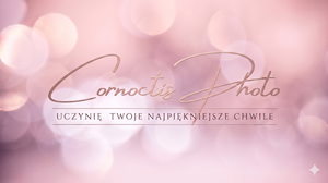 Logo Studia
